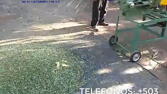 ENSILADORA Y PICADORA DE PASTOS Y MAIZ, MARCA PENAGOS MODELO PE 800 TIPO DE CORTE 6 5 MM смотреть онлайн