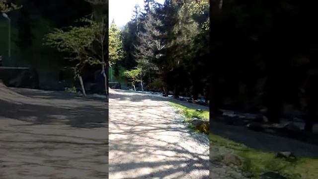 Русскоязычный гид в Грузии - Гоча Отанадзе. whatsapp +995 595 630034 смотреть онлайн