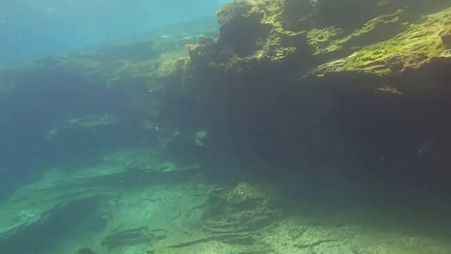 Ocean Trek Diving - Tenerife - Teneriffa - Playa Amarilla - 05. September 2020 - Part2/2 смотреть онлайн