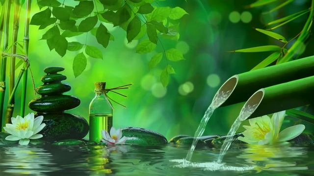 Soothing Relaxation Music, Relaxing Piano Music, Sleep Music, Water Sounds, Relax Music, Meditation