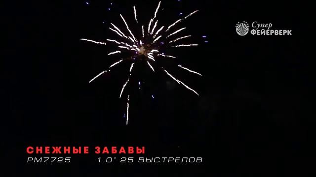 Снежные забавы - РМ7725