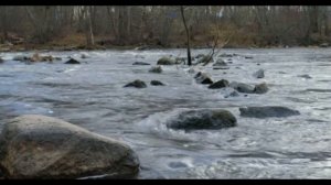 Вьюн над водой. Русская-народная песня