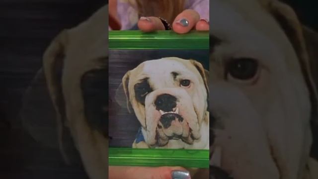 Three tits? #jennifercoolidge #legallyblonde #reesewitherspoon смотреть онлайн