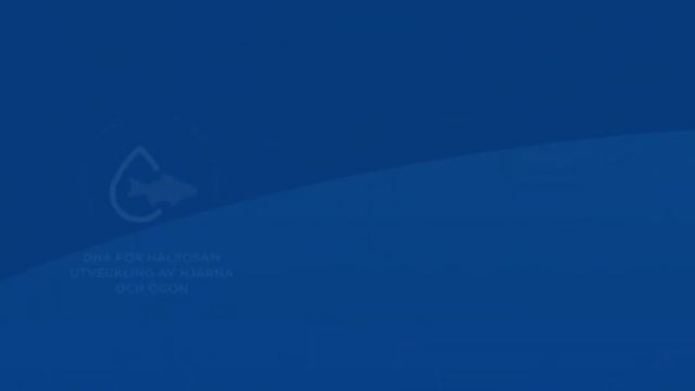 Hill's SCIENCE PLAN Kitten torrfoder med kyckling för kattungar смотреть онлайн