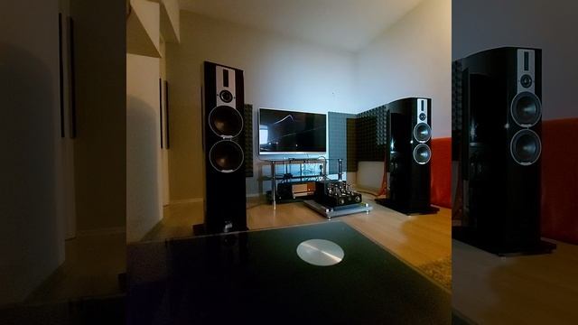 DALI EPICON 6 ! CUSTOM DAC, DIY CABLES, NOS TUBES, AMAZING SOUND!