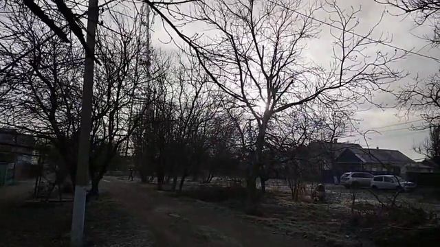 интересное дерево, недовольна заказом с азона, обзор бантов смотреть онлайн