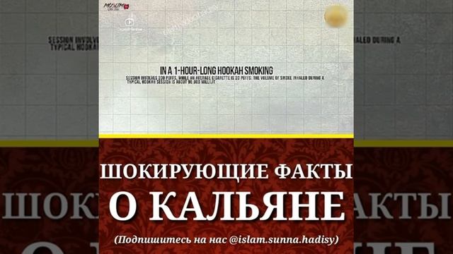 Вред кальяна смотреть онлайн