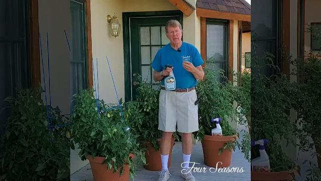 Tomato Troubles? смотреть онлайн
