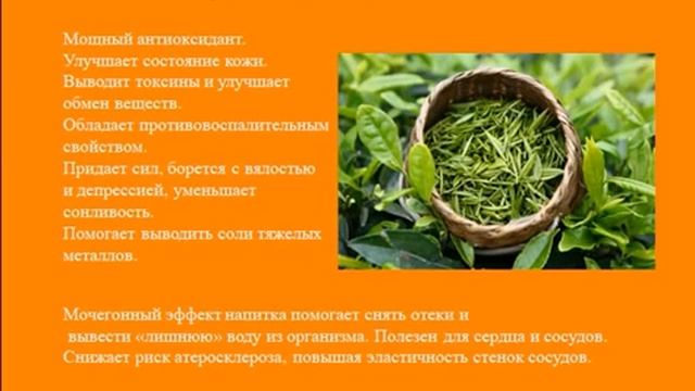 #OWN Состав дневного продукта #PERSU |Olga Mytnik| Tallinn смотреть онлайн