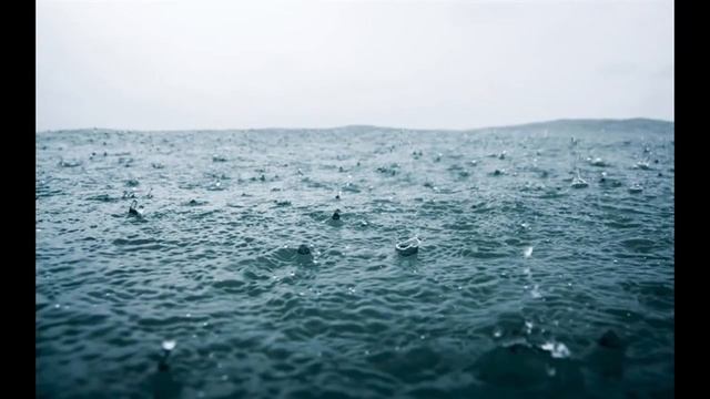 Le poisson qui me souriait de Jimmy Liao | QLJ 2021-22 смотреть онлайн
