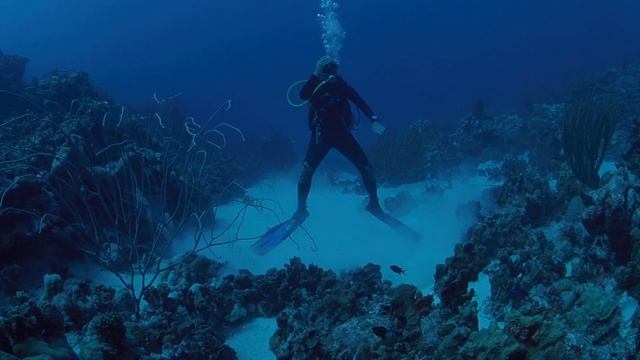 Занятия под водой 4 смотреть онлайн