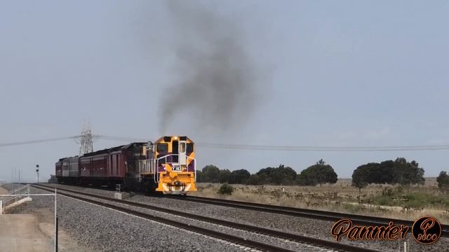 V/Line Y Class Takes to the Mainline! (Steamrail's Y Class Shunters Tour) | Y163 & Y164 смотреть онлайн