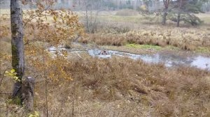 Вездеход Тьма-1М