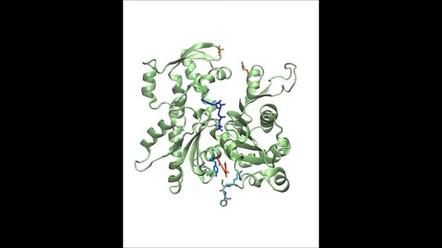 Biochemistry : Actin-Curcumin Interaction: Insights Into The Mechanism Of Actin Polymerization...