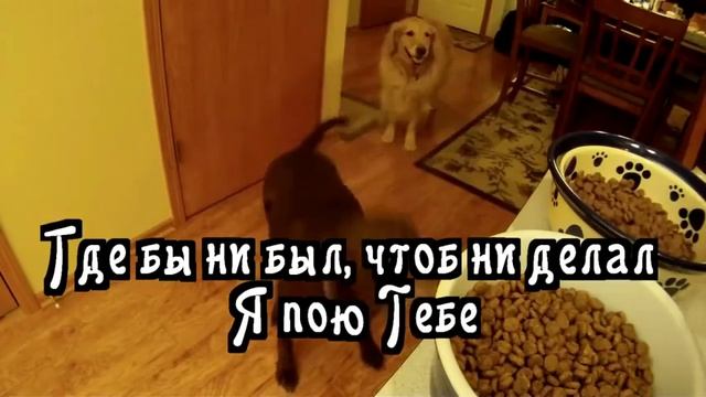 Виктория Гронина - Благословлю Тебя смотреть онлайн