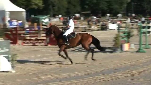 Zarina de Valpao Z CIR Cluny GP 7 ans 29 07 12 смотреть онлайн