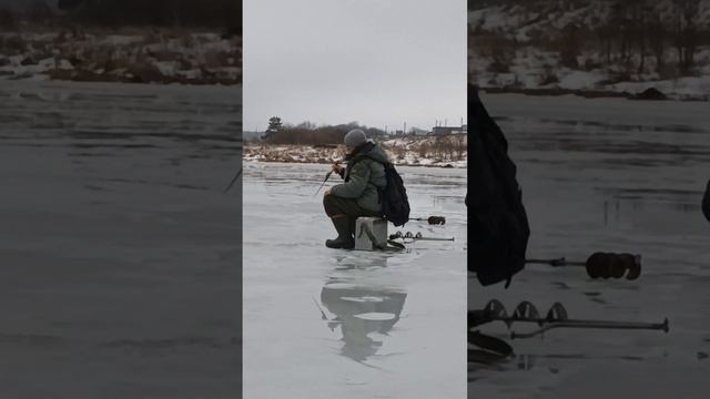 Ловля леща на подтяг смотреть онлайн