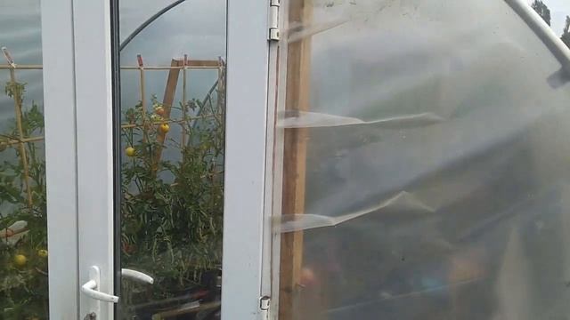 Little Farmers Farm - Poly Tunnel Door - :-) смотреть онлайн