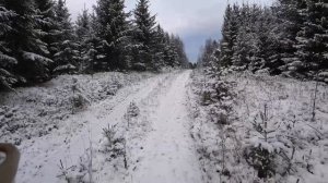 Лучшая охота с начала сезона! Охота на зайца по белой тропе с эстонской гончей 18.11.2023