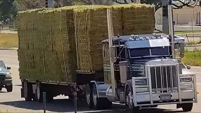 ФУРЫ С СЕНОМ смотреть онлайн