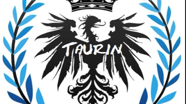 PSY - Gangnam Party Style (Taurin Mix) смотреть онлайн