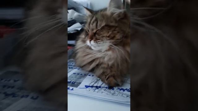 я по тебе скучаю смотреть онлайн