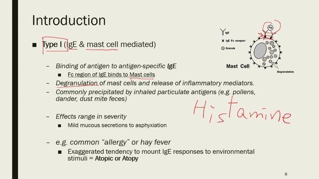 Dr. Hong's Immunology: Hypersensitivity Part 1 смотреть онлайн
