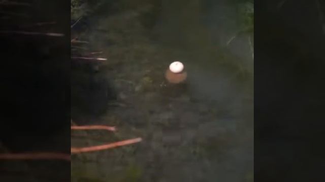 CC Moore Carp Freaks Pop-Up смотреть онлайн