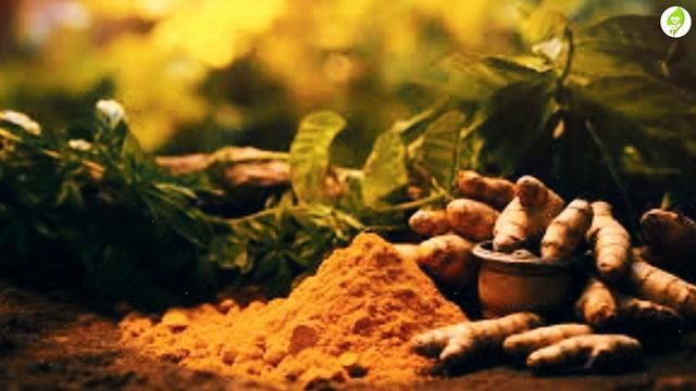 10 Miracle Foods to Heal Nerve Damage Fast смотреть онлайн