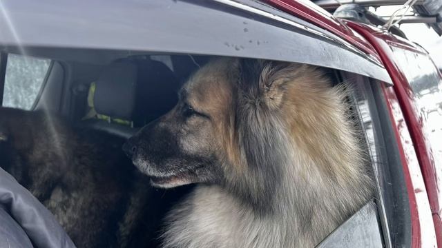 КЧР короткое видео смотреть онлайн