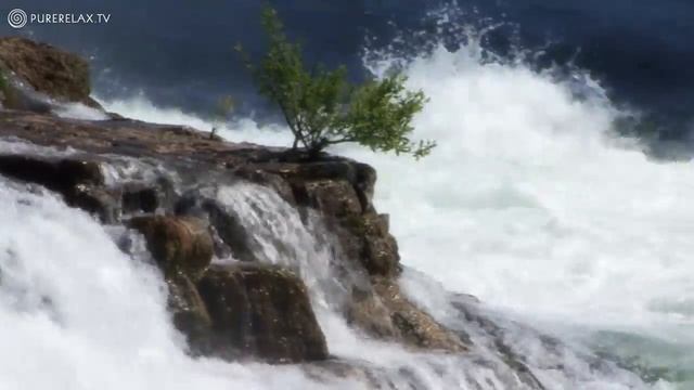 Relaxing Music - Nature Sounds, Instrumental & Regeneration - WATER HARMONY смотреть онлайн