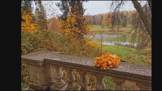 Осеннее утро. Александр Сергеевич Пушкин. смотреть онлайн