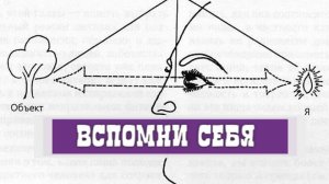 Осознание Себя как неразделенности. #пробуждение #сознание #восприятие