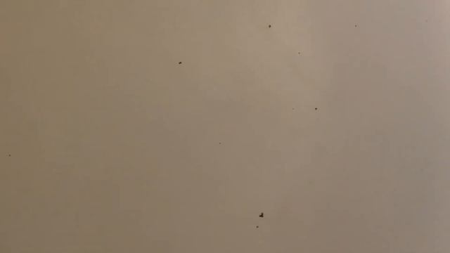 SJD the Tank Engine & Friends Pilot Audio 1953. смотреть онлайн