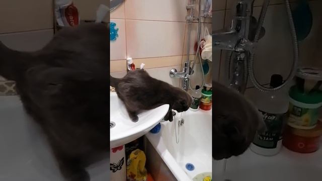 Соня балуется водой! 😄 смотреть онлайн