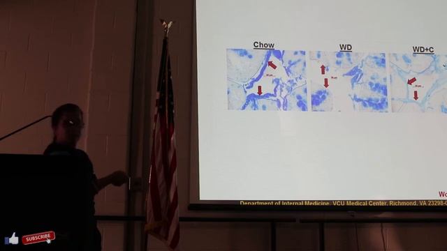 Turmeric Curcumin : Dr Shobha Ghosh Clinical Research Findings on Turmeric & Gut health #als #mnd смотреть онлайн