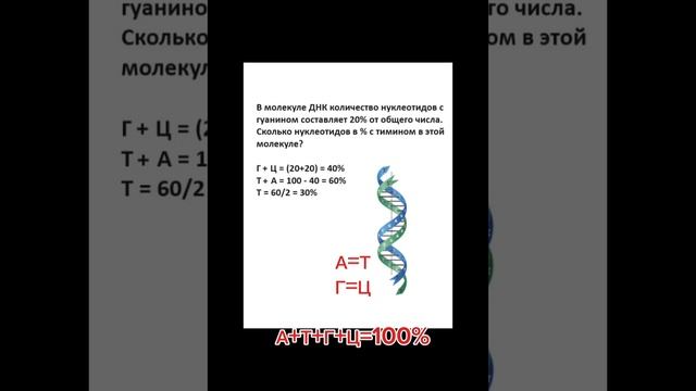 Линия 3 ЕГЭ биология @биология_с_рязановой #биологияегэ смотреть онлайн