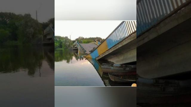 29 Ноября день мостов. Юмор. смотреть онлайн