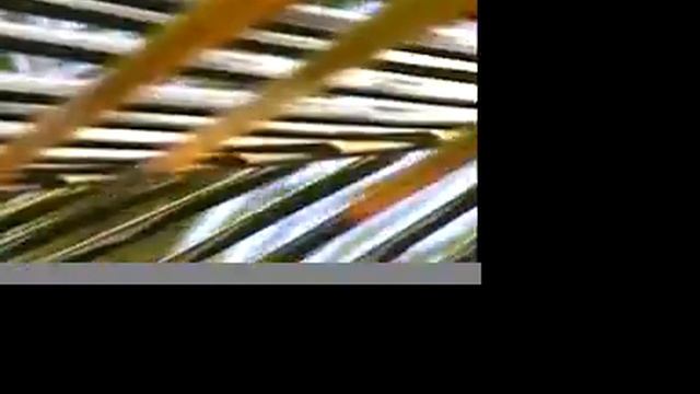 Soplo de Coco смотреть онлайн