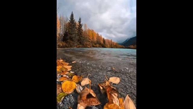 Жмуркина заводь