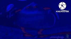 Preview 2 Henry Stickmin Triangle Center Effects With 6 Opposite Effects With 6 Effects