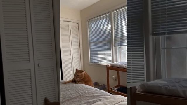 Он смог! 👏 смотреть онлайн