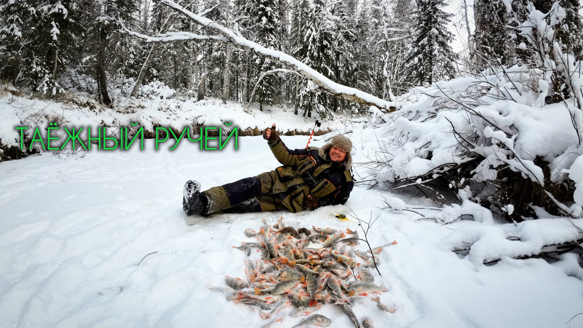 НАШЕЛ ЗАВЕТНУЮ ЛУНКУ #таёжныйручей #чебак #мохтик #первыйлёд #окунь #зимняярыбалка #таёжный #ручей смотреть онлайн