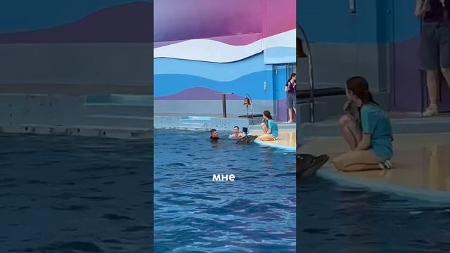 Дельфинарий в Сочи! Как перестать боятся воды смотреть онлайн