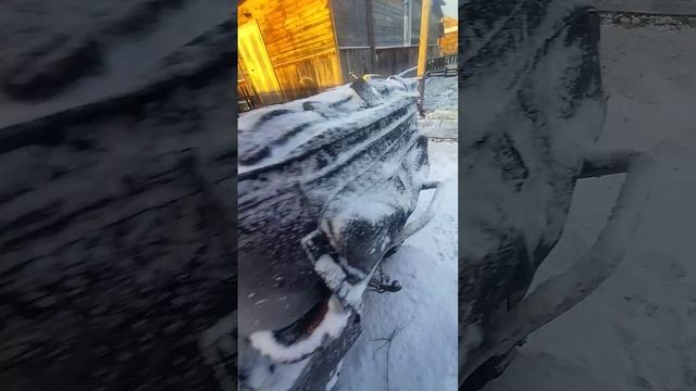 10 ноября 2024 г.