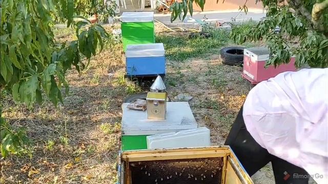 Πως κάνω Τρύγος смотреть онлайн