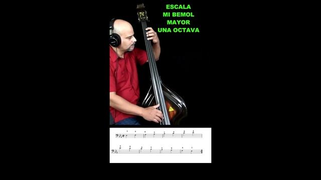 Escala De MI Bemol Mayor Una Octava - Tutoriales De Baby Bass - Joey Hernandez смотреть онлайн
