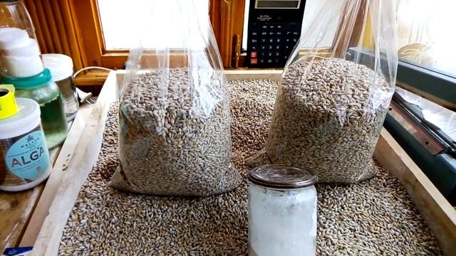 АВТОКЛАВИРОВАНЫЙ МИЦЕЛИЙ смотреть онлайн