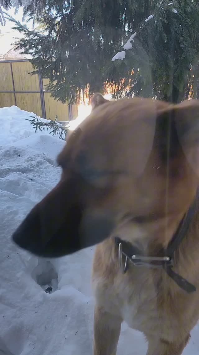 Заметила меня в окне)))