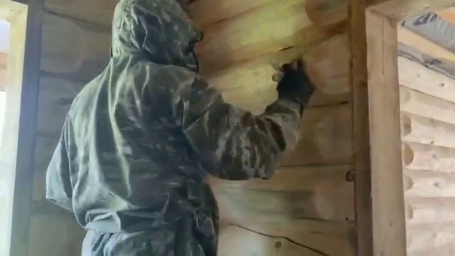 Как убрать синеву на брёвнах деревянного дома?